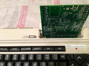 Procyon_bare